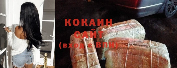 гашик Алзамай