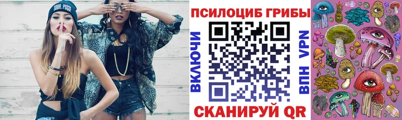 Галлюциногенные грибы MAGIC MUSHROOMS  Темников 